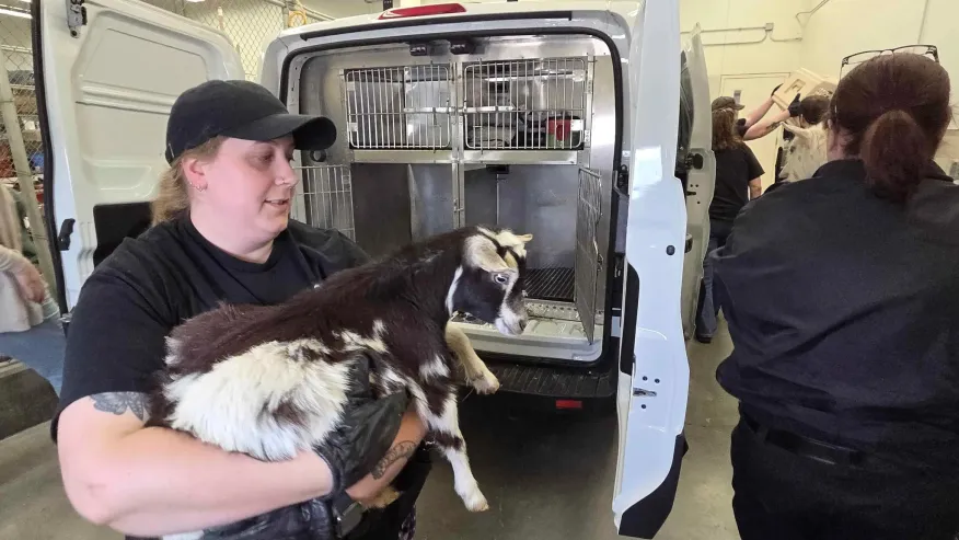 Decenas de cargos fueron desestimados después de que 52 animales fueran sustraídos de una vivienda en Nebraska