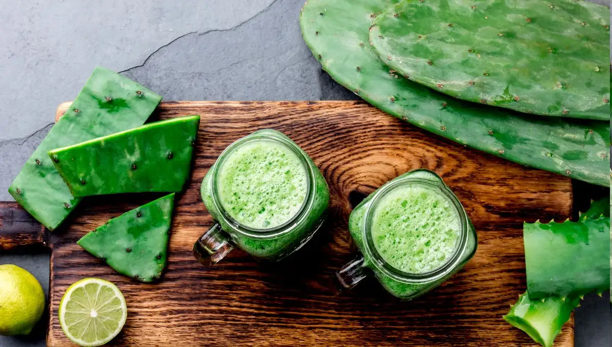 Beneficios de comer nopales en ayunas y la forma más sencilla de prepararlos