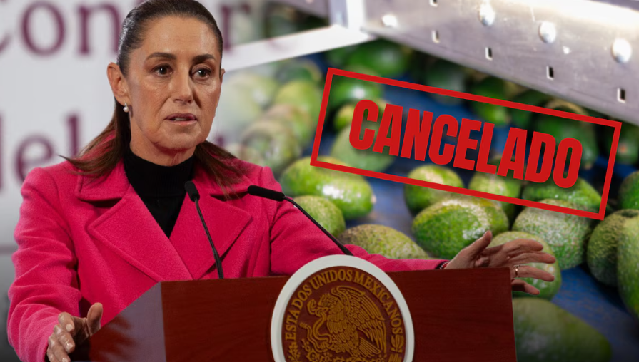 Sheinbaum ‘reclama’ a EU por cancelar envíos de aguacates: ‘No dijo que había amenazas a sus inspectores’ Sheinbaum ‘reclama’ a EU por cancelar envíos de aguacates: ‘No dijo que había amenazas a sus inspectores’