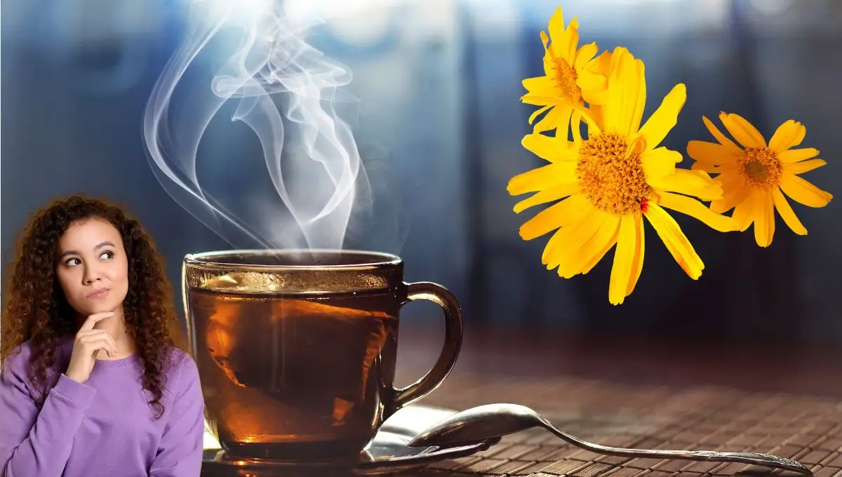 Té de árnica: qué beneficios tiene y cómo prepararlo para aprovechar sus propiedades curativas Té de árnica: qué beneficios tiene y cómo prepararlo para aprovechar sus propiedades curativas