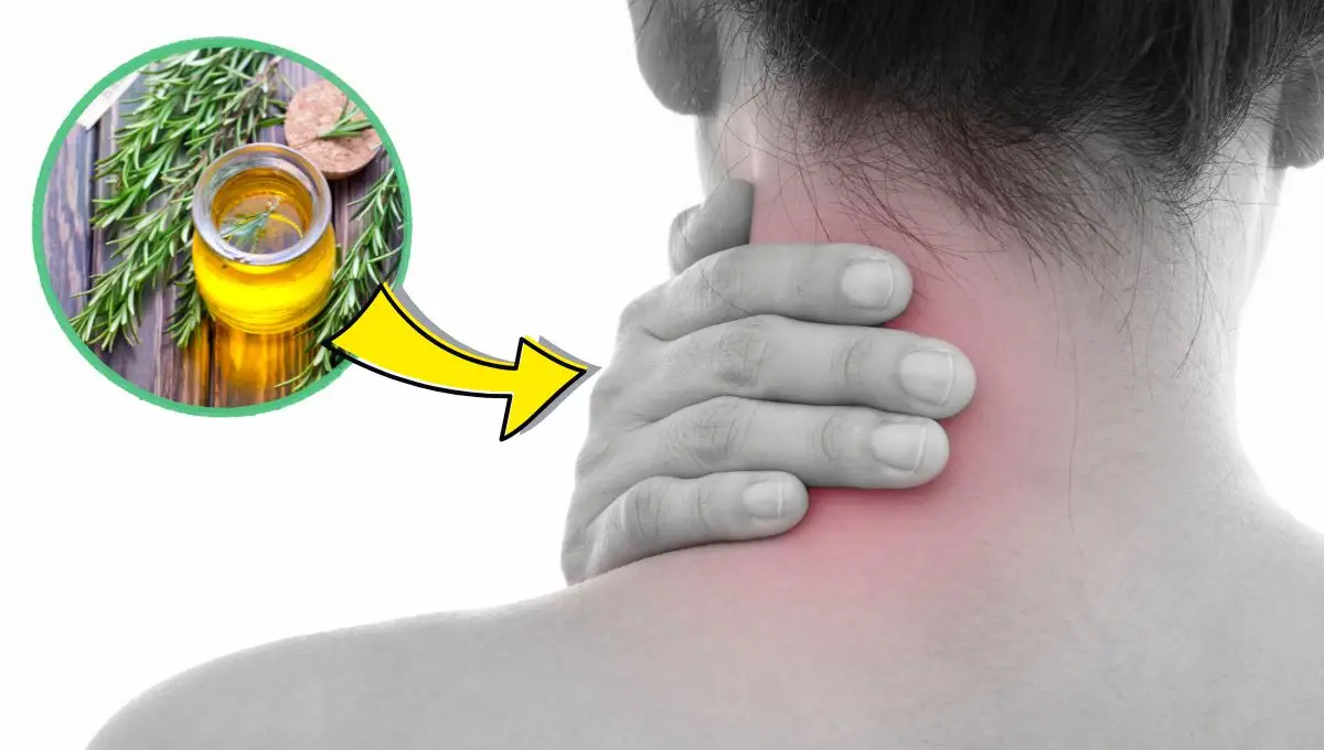 ¿Tienes dolores musculares? Prepara este aceite y pomada de romero
