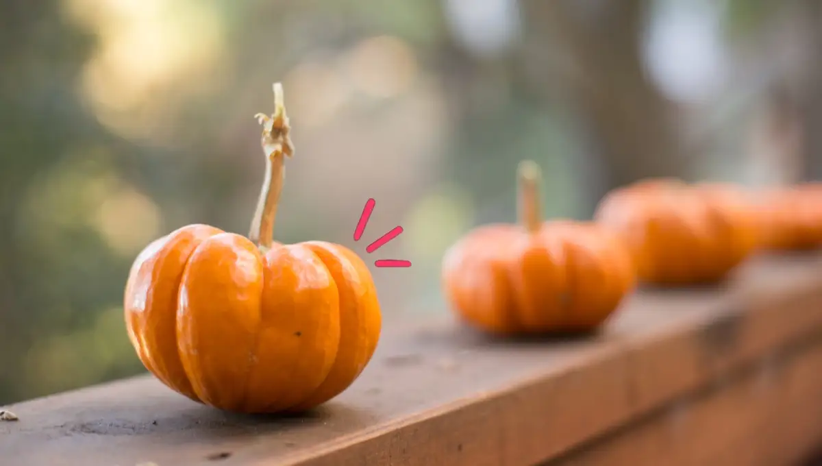 Calabaza brujita: Qué beneficios tiene y cómo se puede cocinar en esta temporada de otoño Calabaza brujita: Qué beneficios tiene y cómo se puede cocinar en esta temporada de otoño