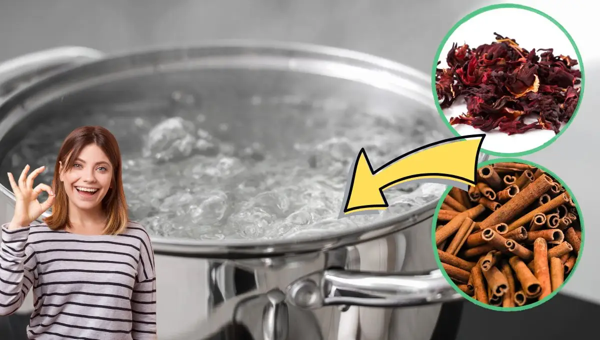 Hervir jamaica con canela: para qué sirve y qué usos tiene
