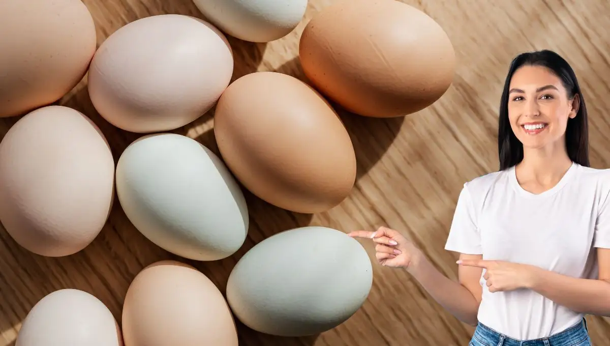 Día del Huevo: 10 datos y curiosidades que probablemente no sabías de este superalimento