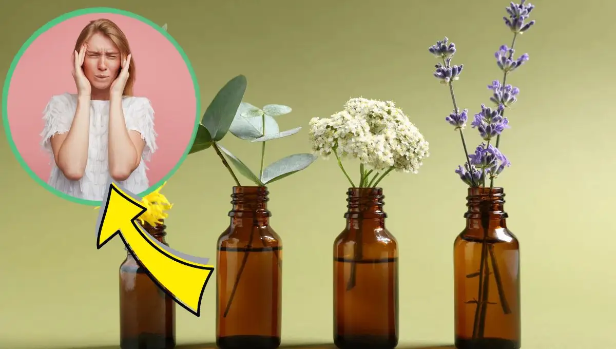 ¿Dolor de cabeza? Estos 3 aceites esenciales te ayudarán a relajarte, según la ciencia